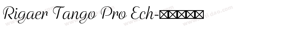 Rigaer Tango Pro Ech字体转换